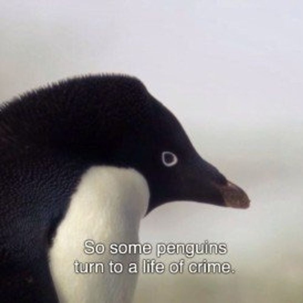 시시