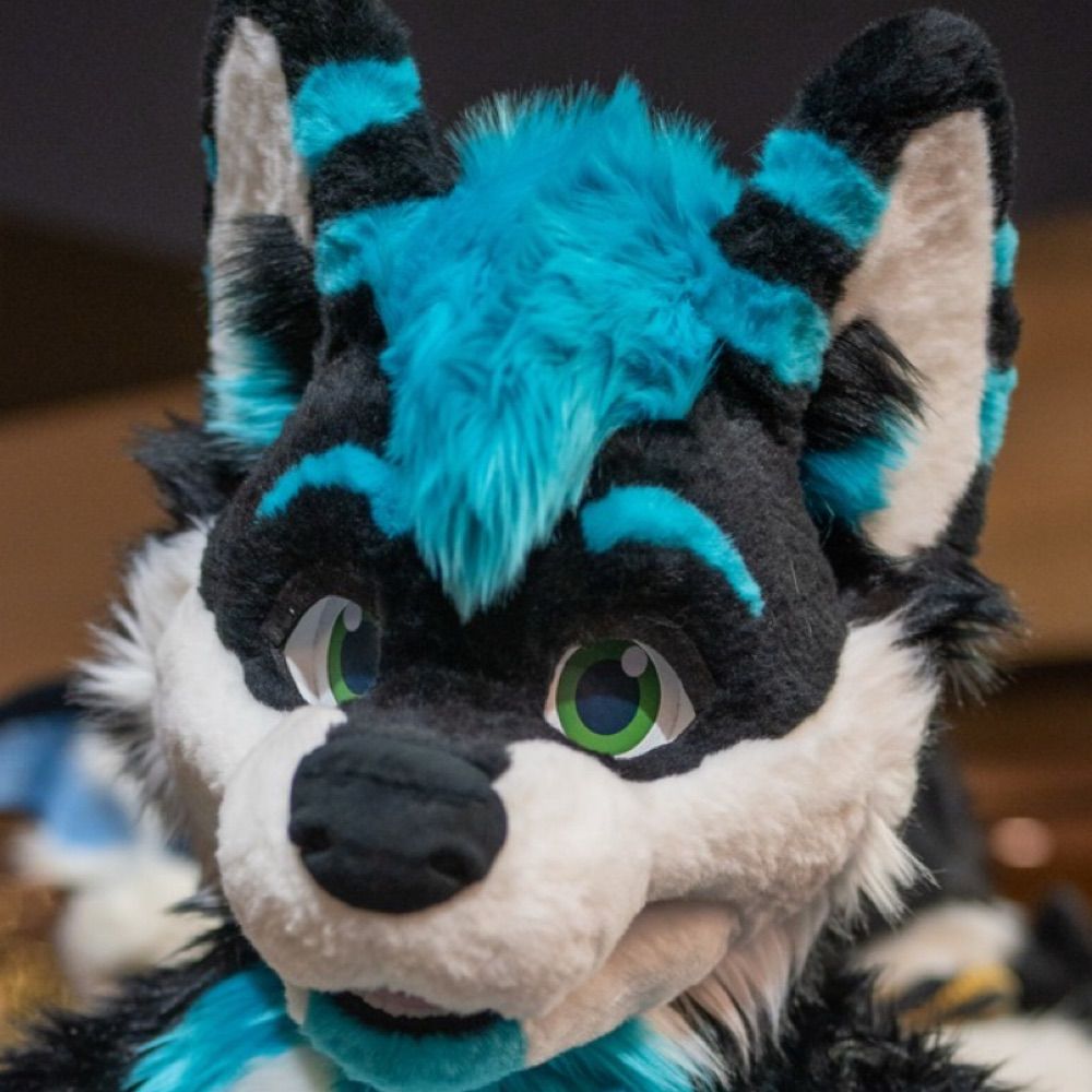 Sonnik Wusky