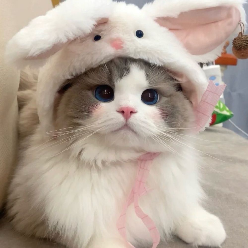 ꕁ〖 มุมิ้งง 🦄 〗ᵎ.⊹