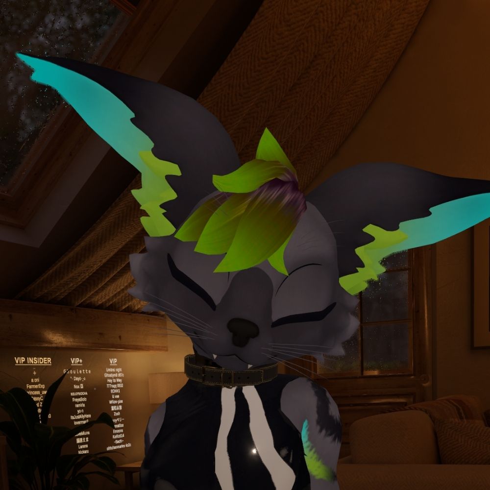Skypup02