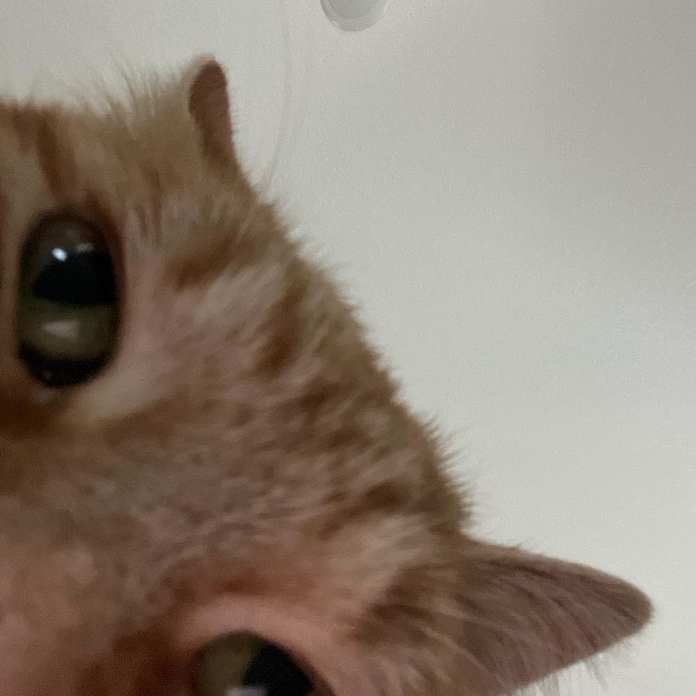 Kapeache