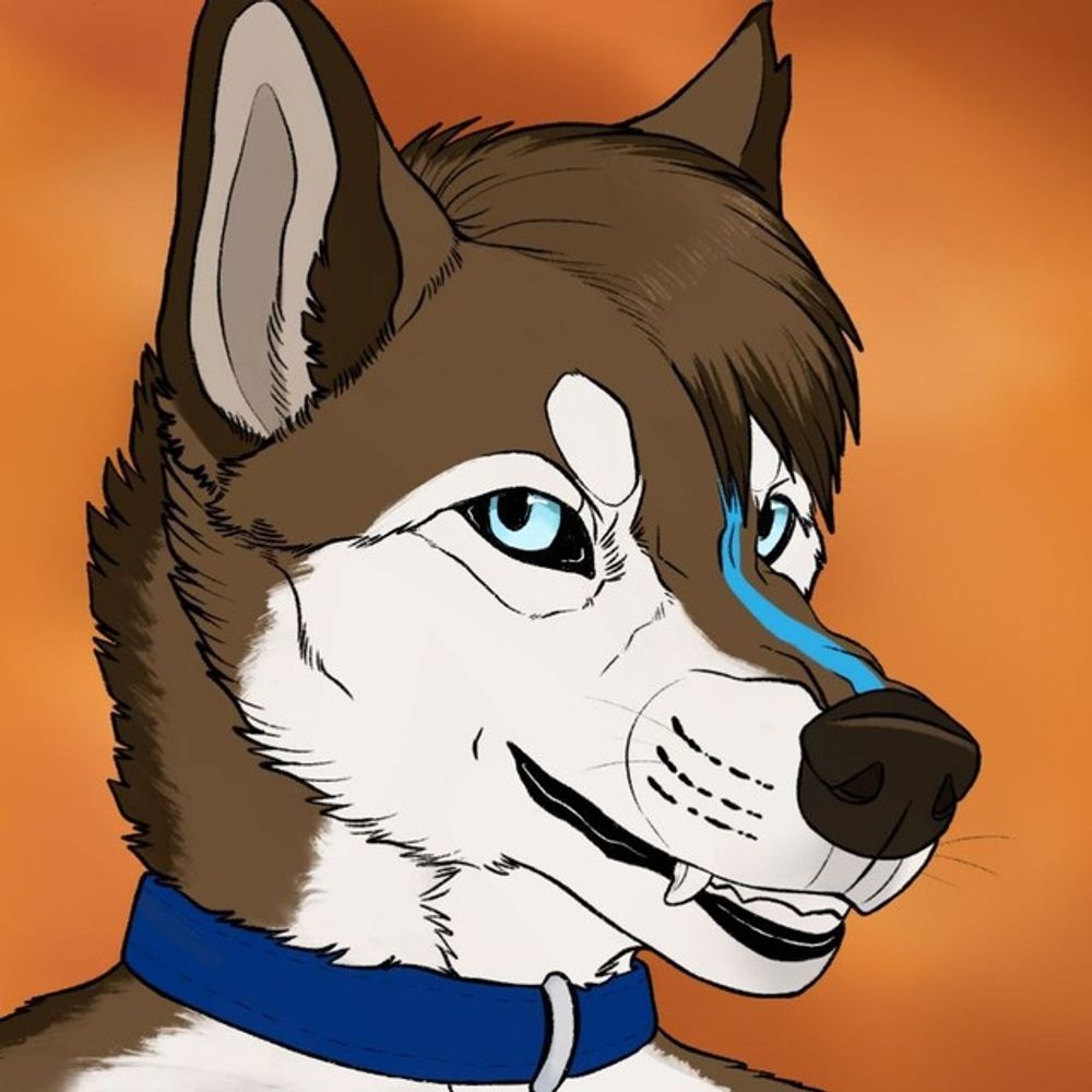 Diego Rockdog