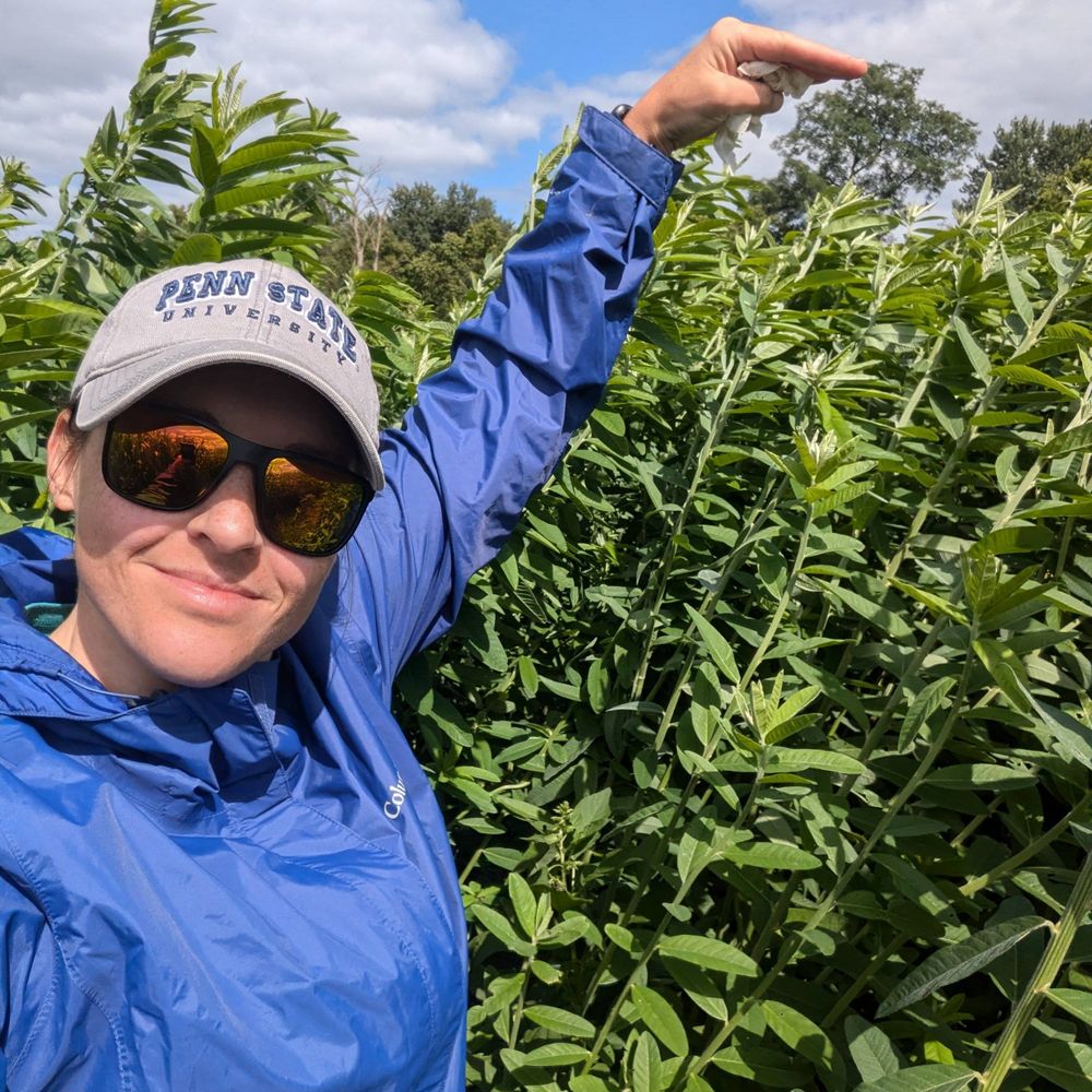 PSUCoverCrops