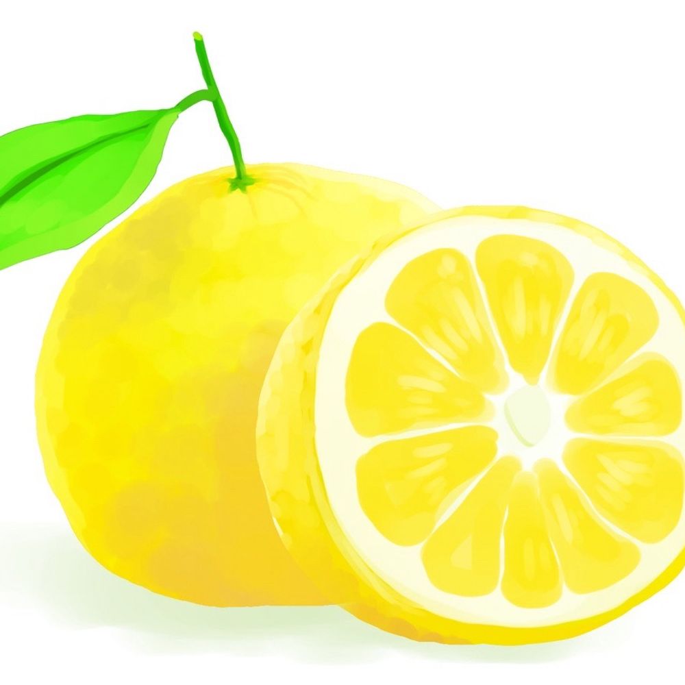 ナッツ🍋夏緒忍者(なつおしのの)