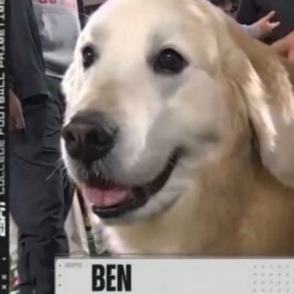 Ben 📲