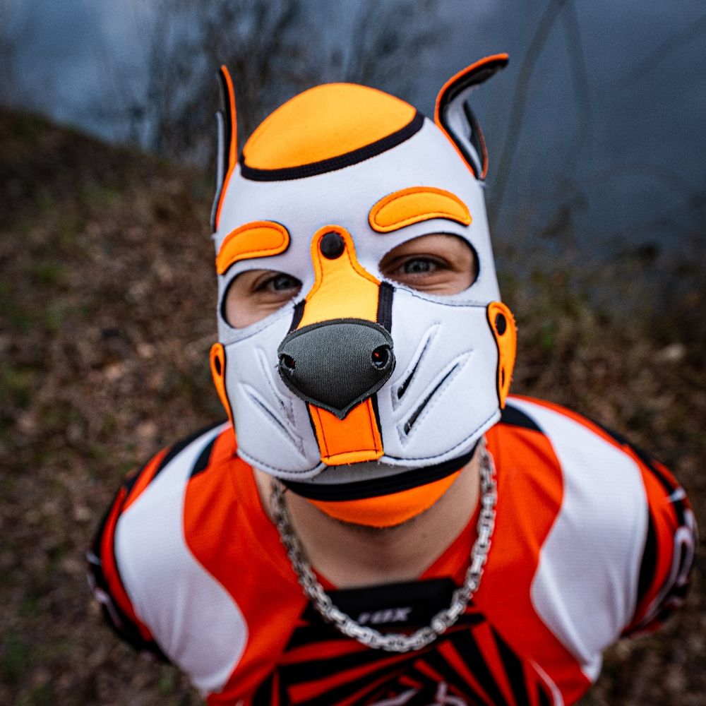 pup koda