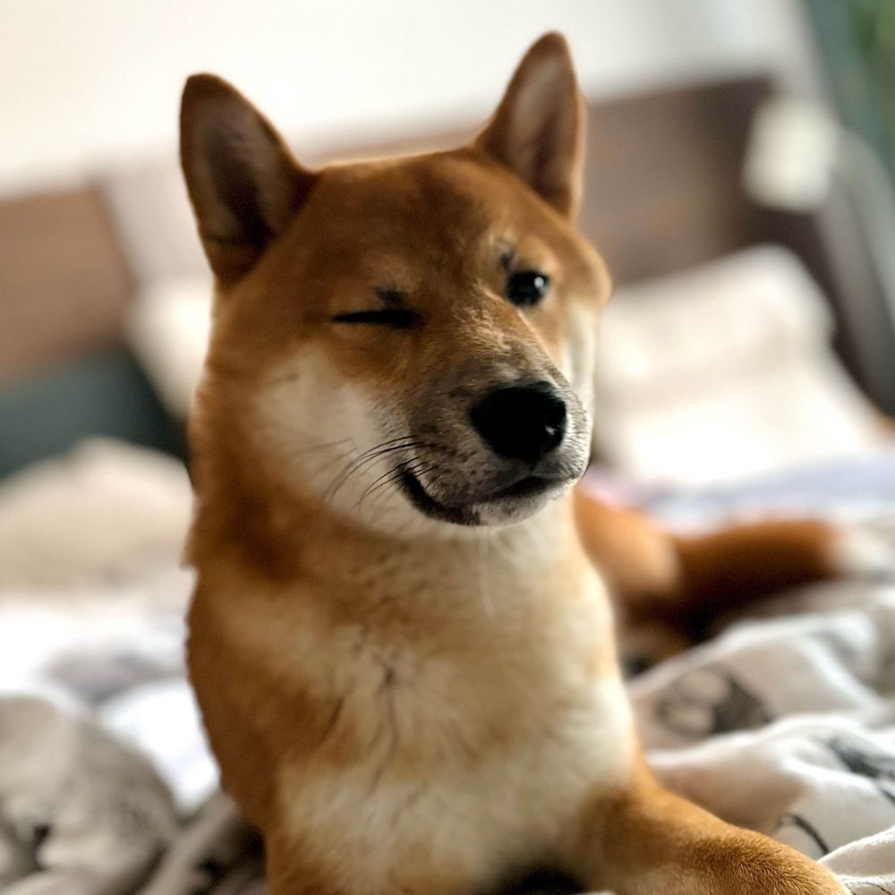 Linuky