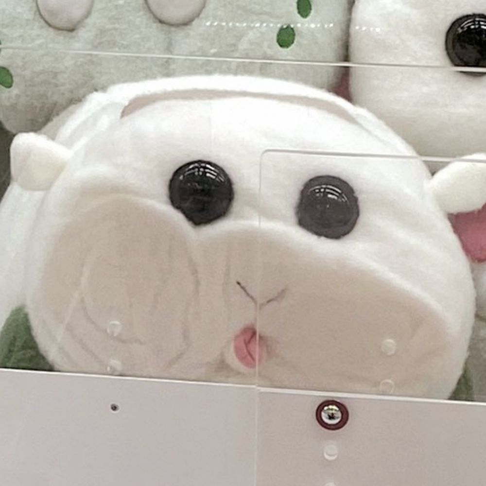초이