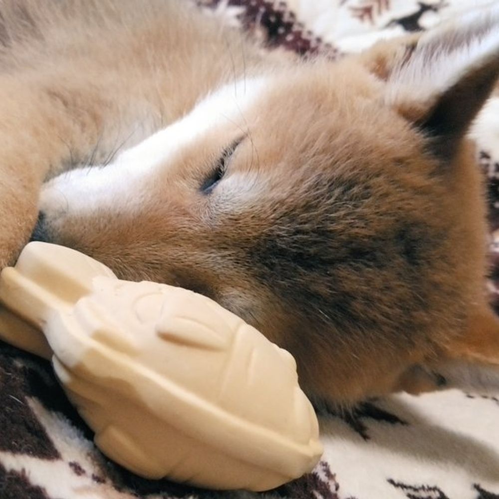 なぎだんちょ