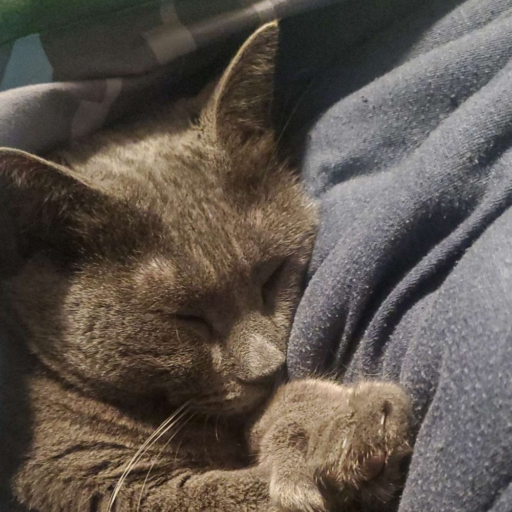 Tired AF