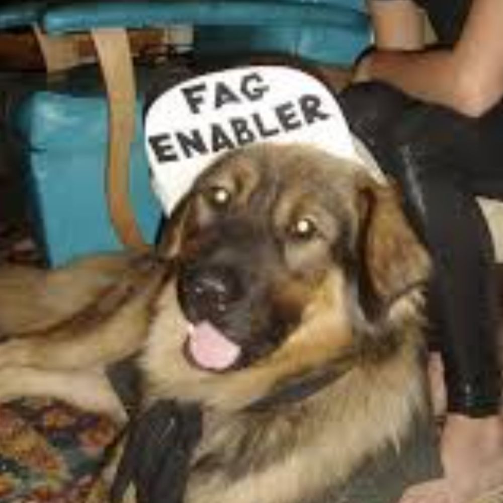 My kennel