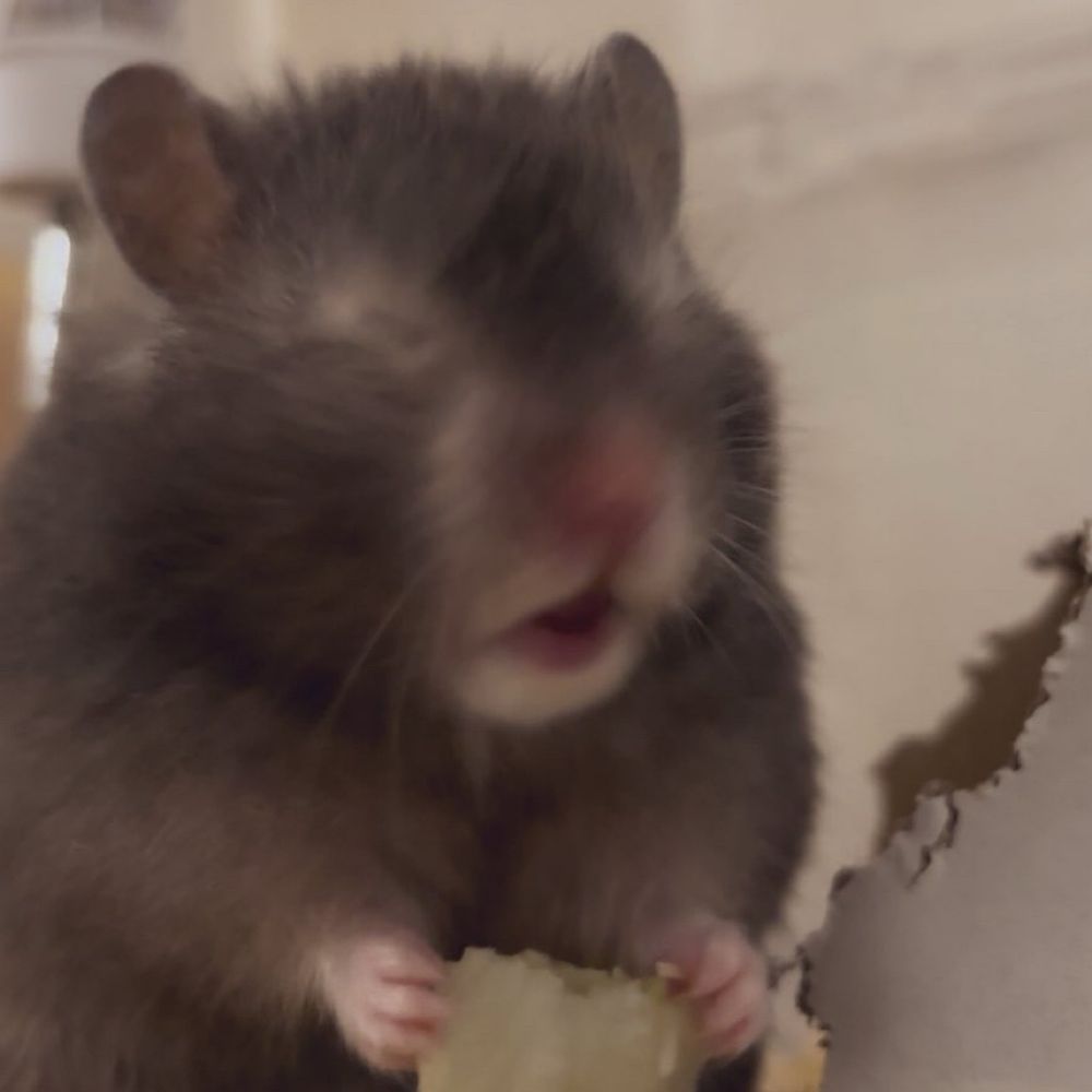 柔らかな体毛で覆われたまさかり