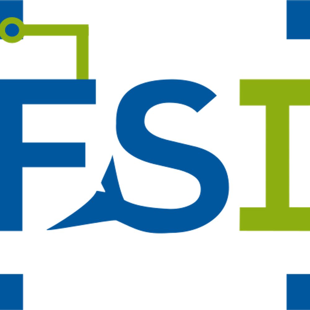 FSI
