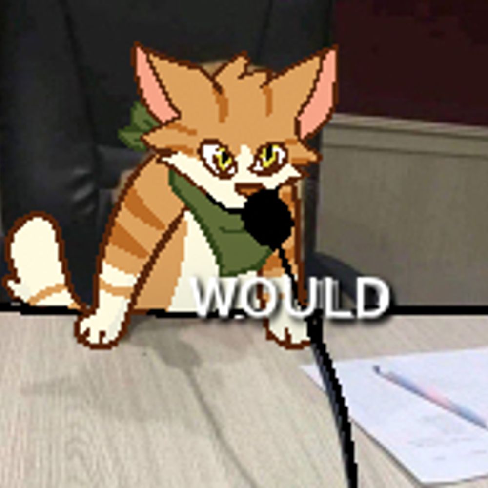 kittyboy