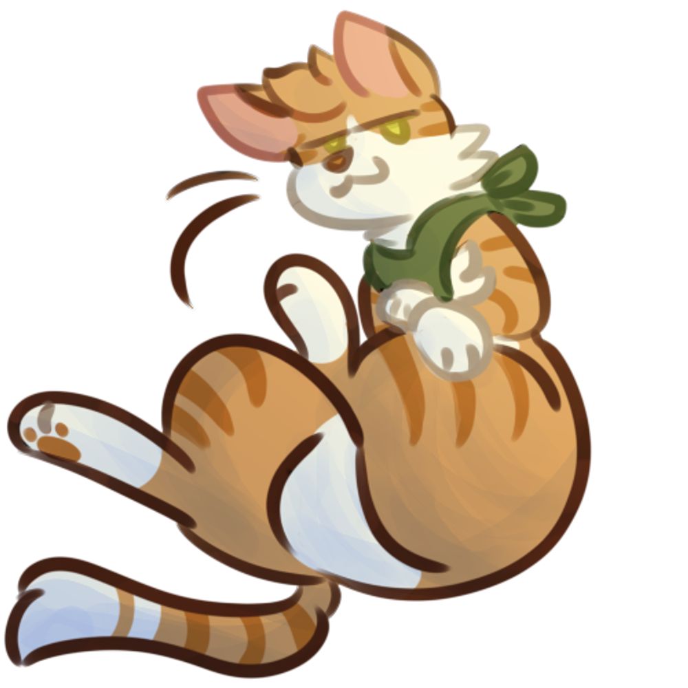 kittyboy