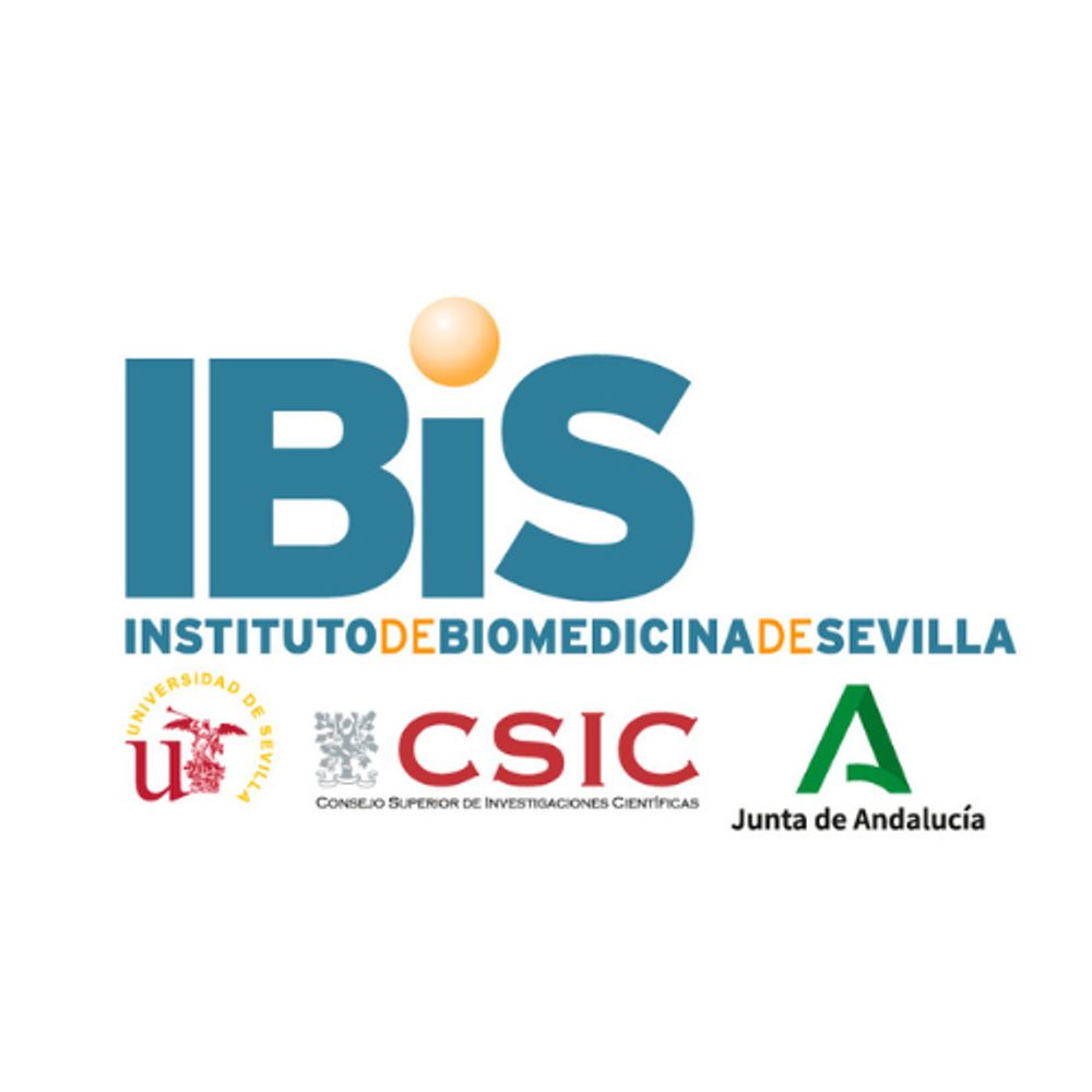 IBiS - Instituto de Biomedicina de Sevilla