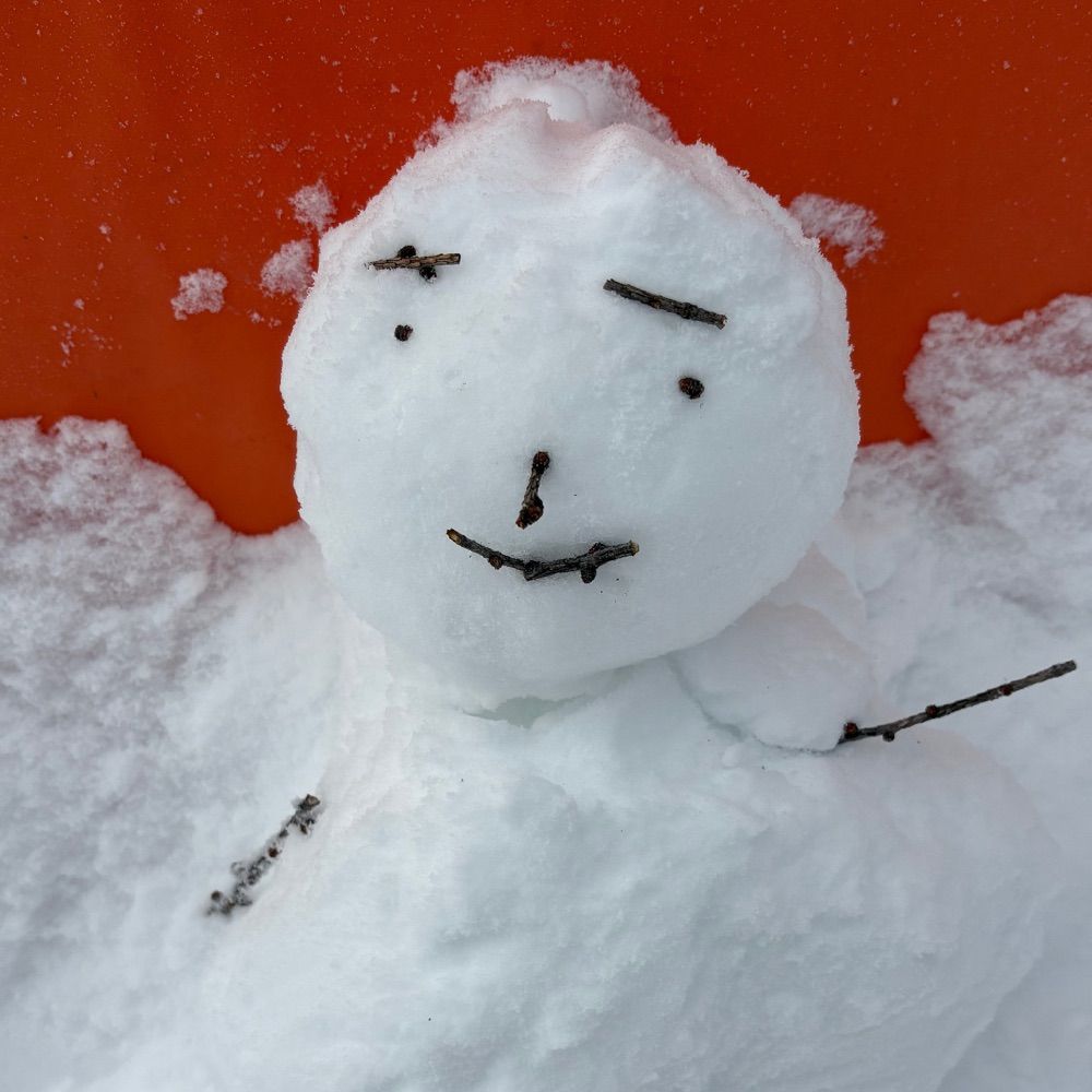 たびすけ