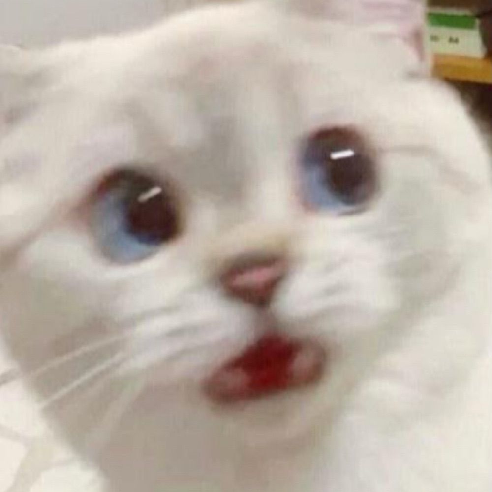 눈누