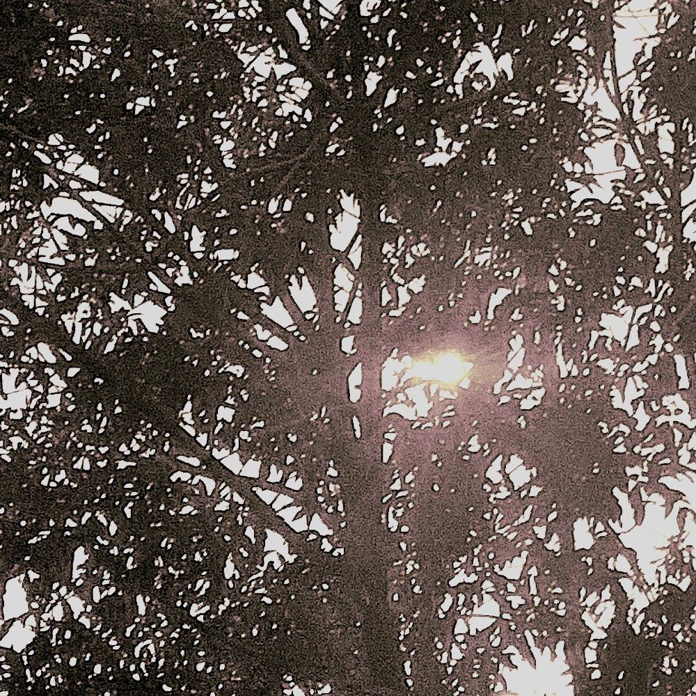 A. Nova