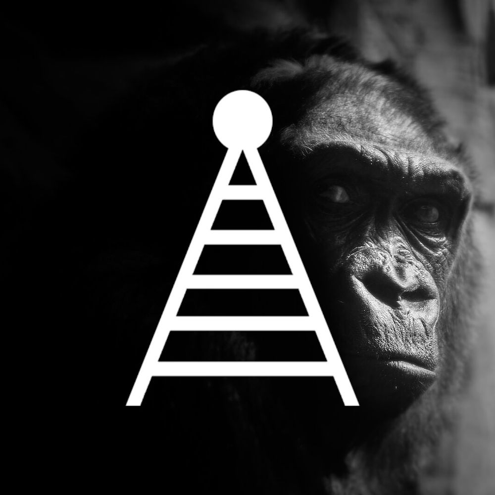 Guerrilla Radio