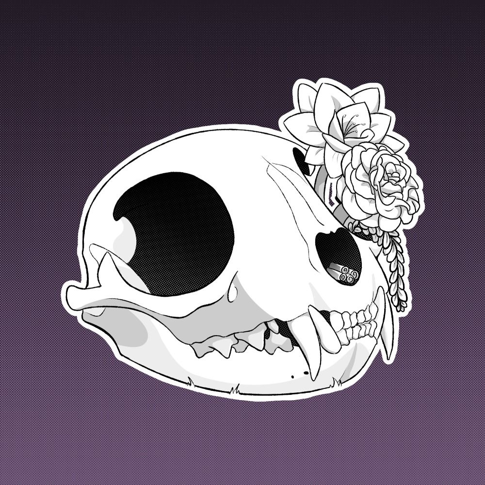 Skulls & Spellcraft