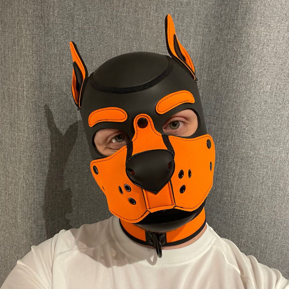 Pup Leon