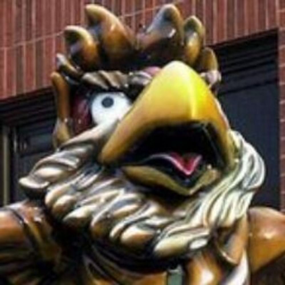 Bearded Jayhawk's avatar