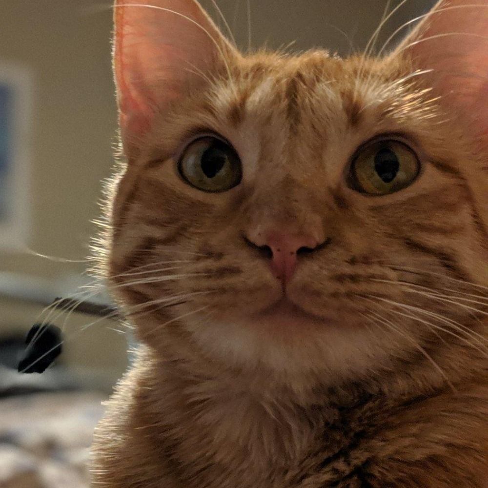 Jim