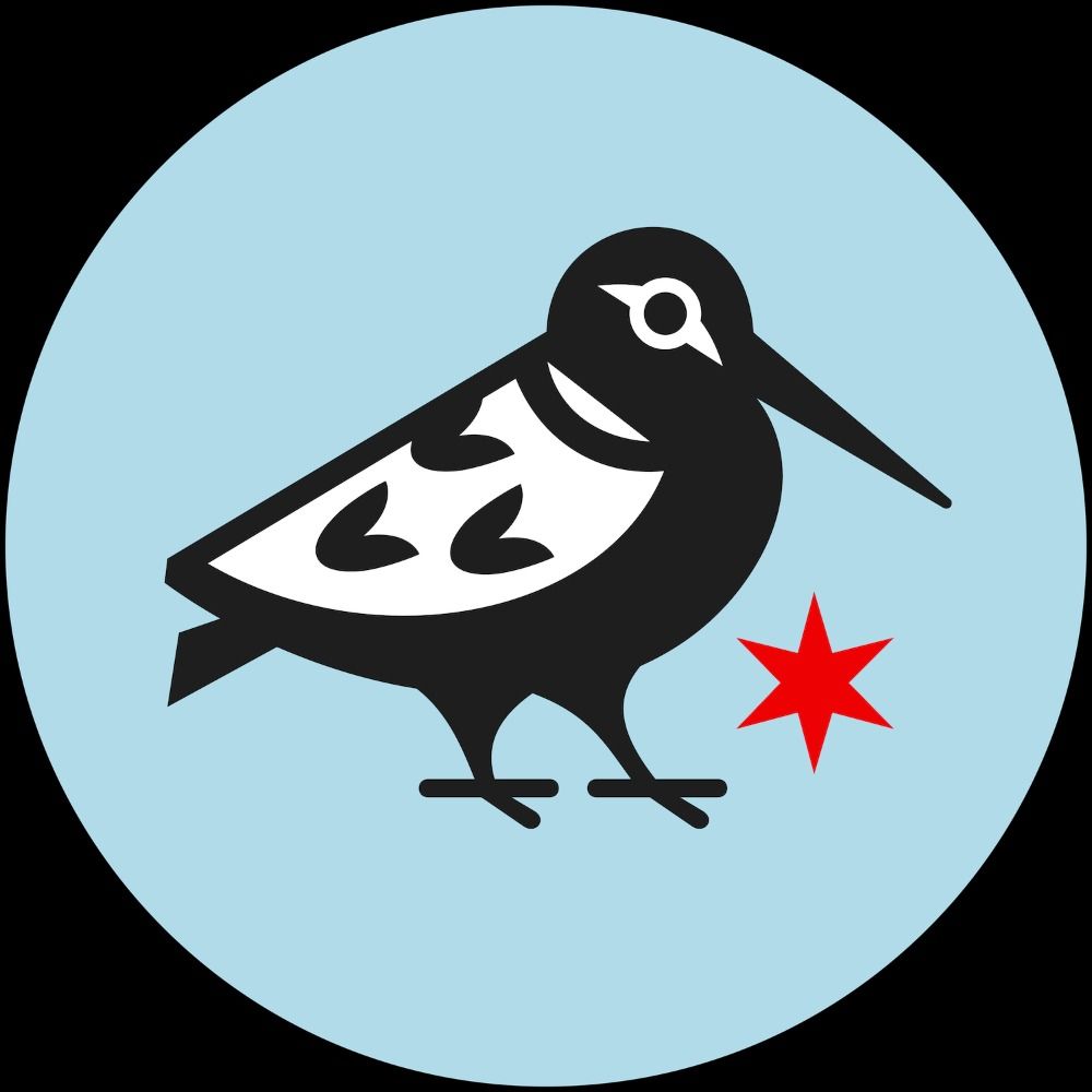 Chicago Ornithological Society's avatar