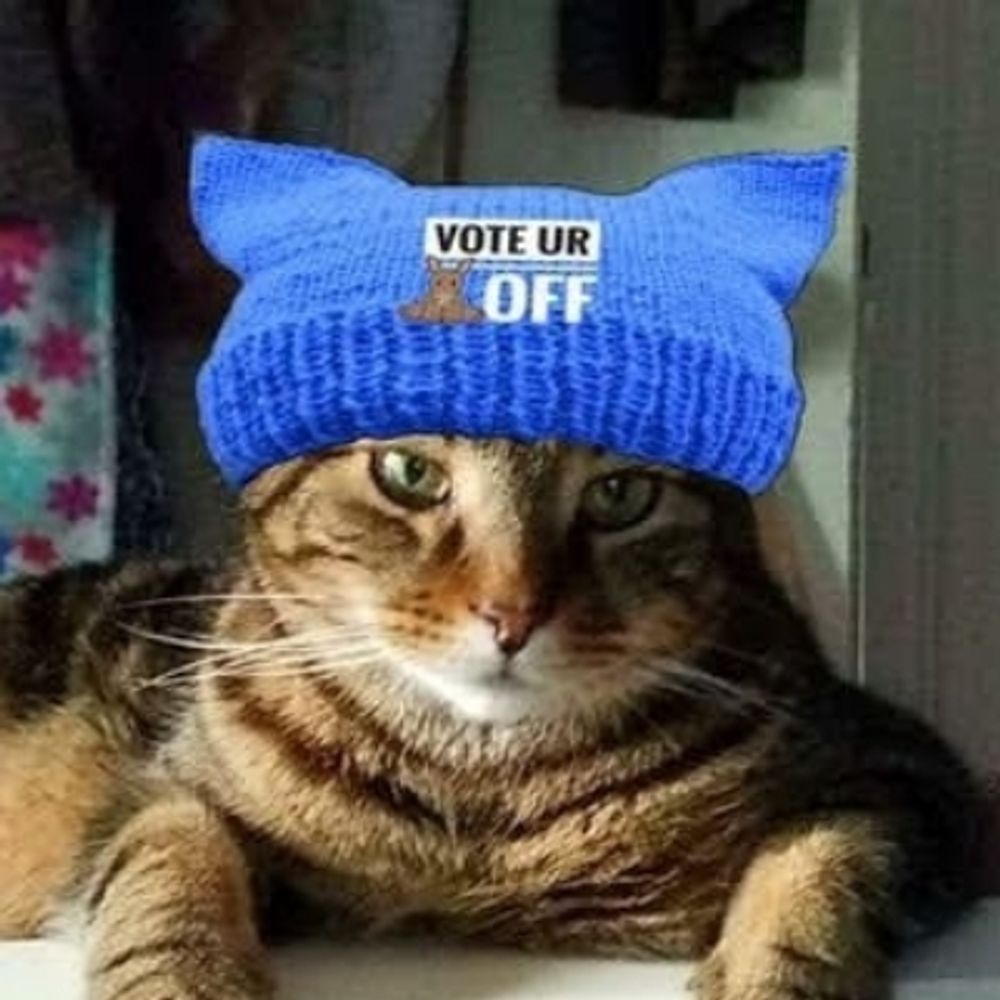 George says VOTE 🌊🌊🌊🌊🌊