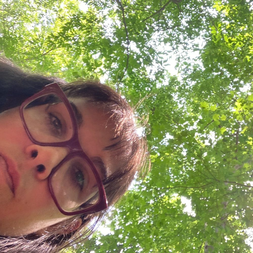 The Slowest Hiker in the Woods