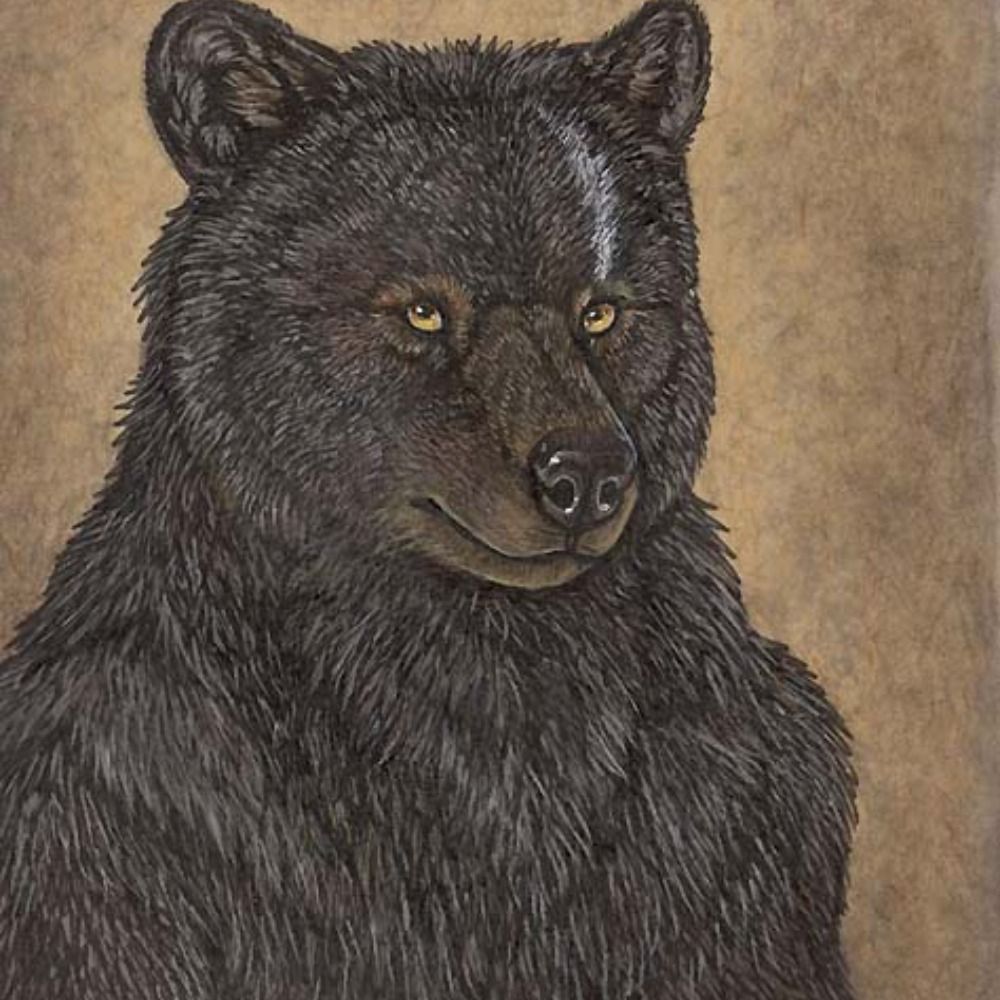 Overbear/Rescue Sunstreak