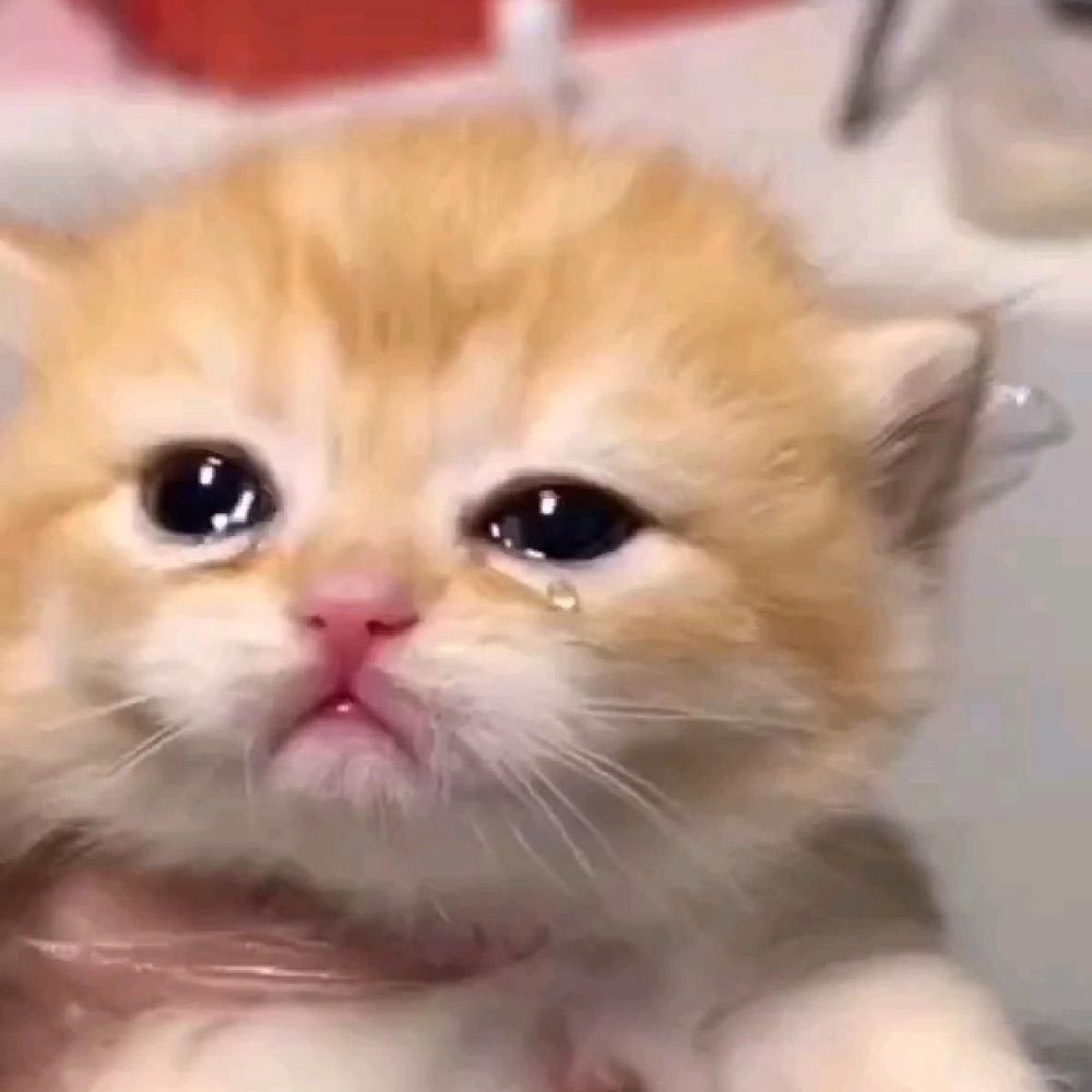 람사