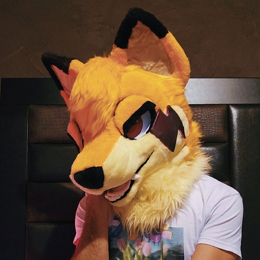Andy 🦊🎀✨️