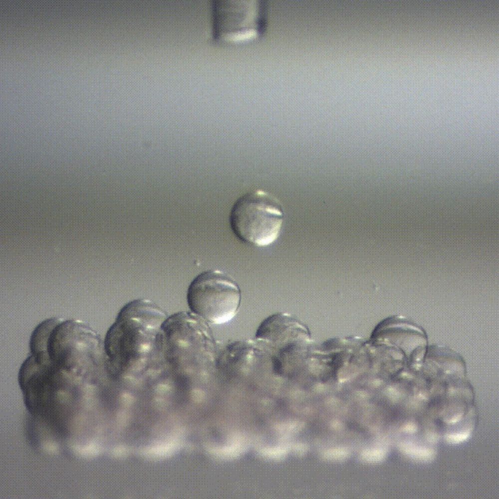 BioPattern Lab