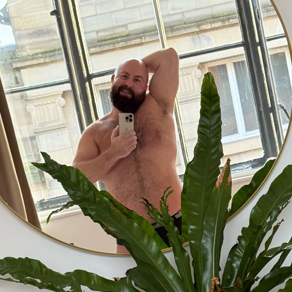 Teddy