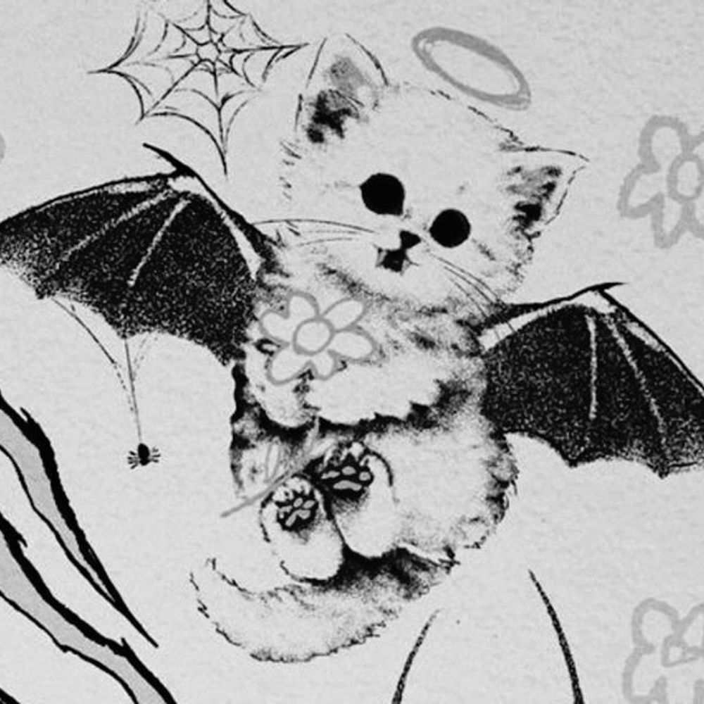 Selusia ⋆⁺₊✧