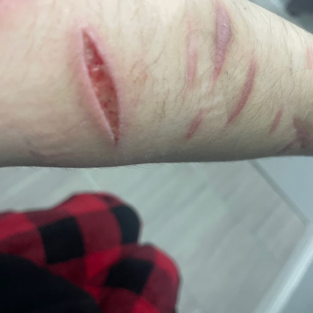 ‎