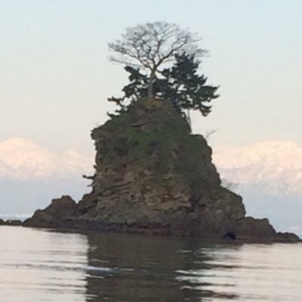 kawahagi