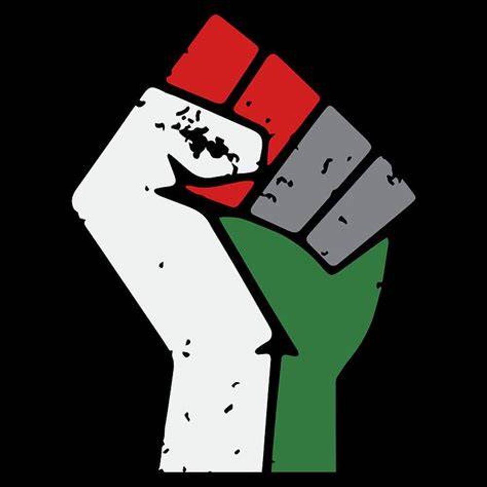Nederlanders voor een Vrij Palestina