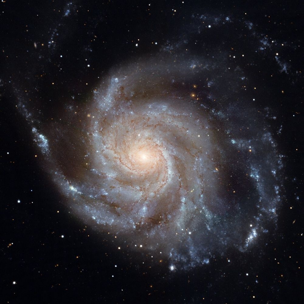 Pinwheel Gx