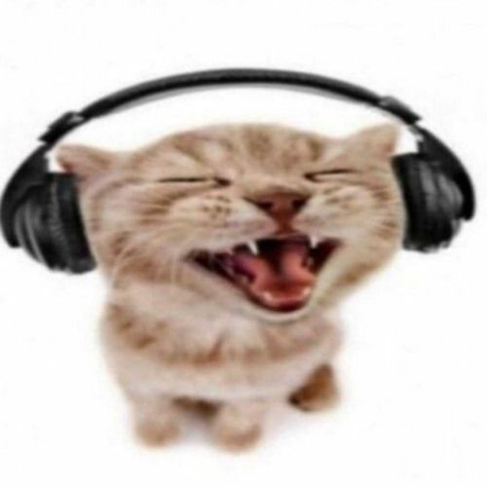 𐙚𝐘𝐚𝐤𝐢