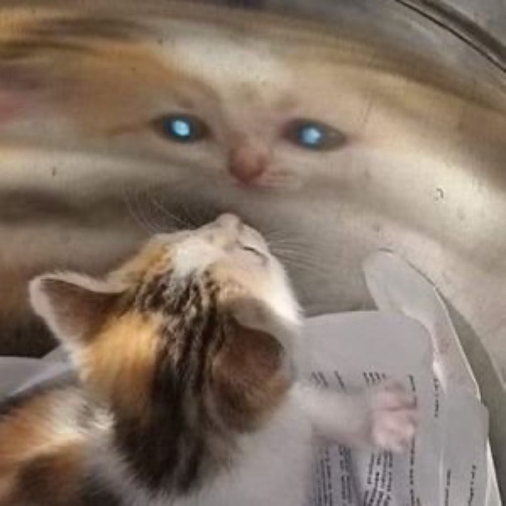 on my computer