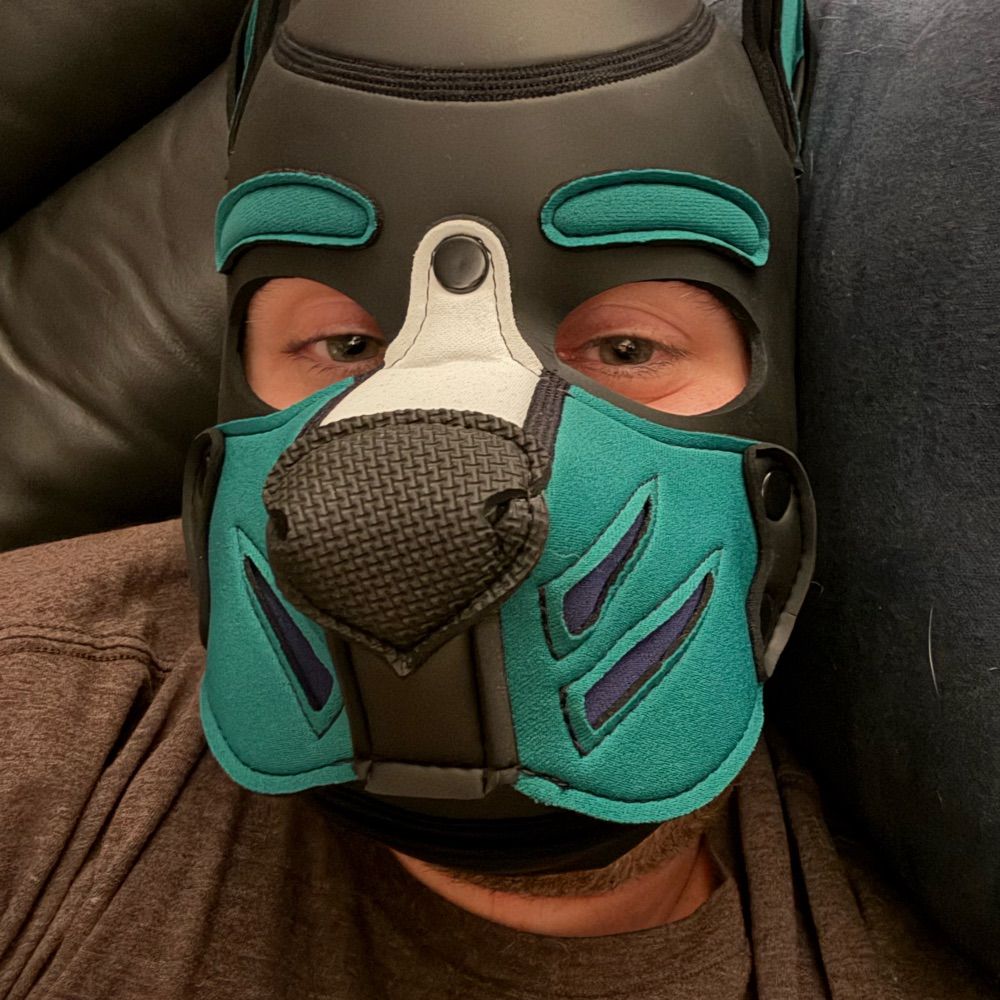 Pup Chase