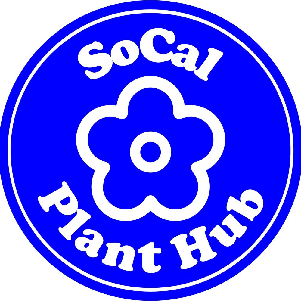 Jen @ SoCal Plant Hub