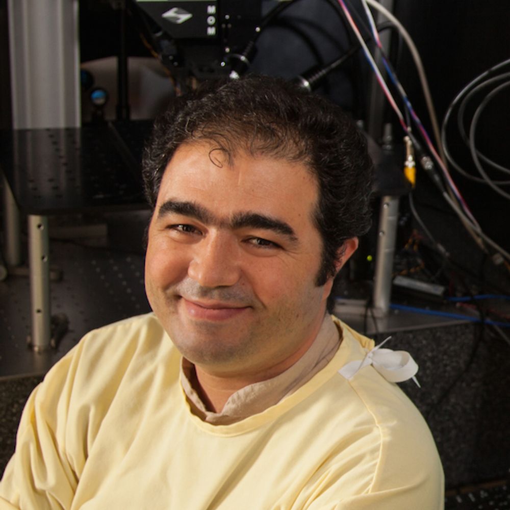 Majid Mohajerani