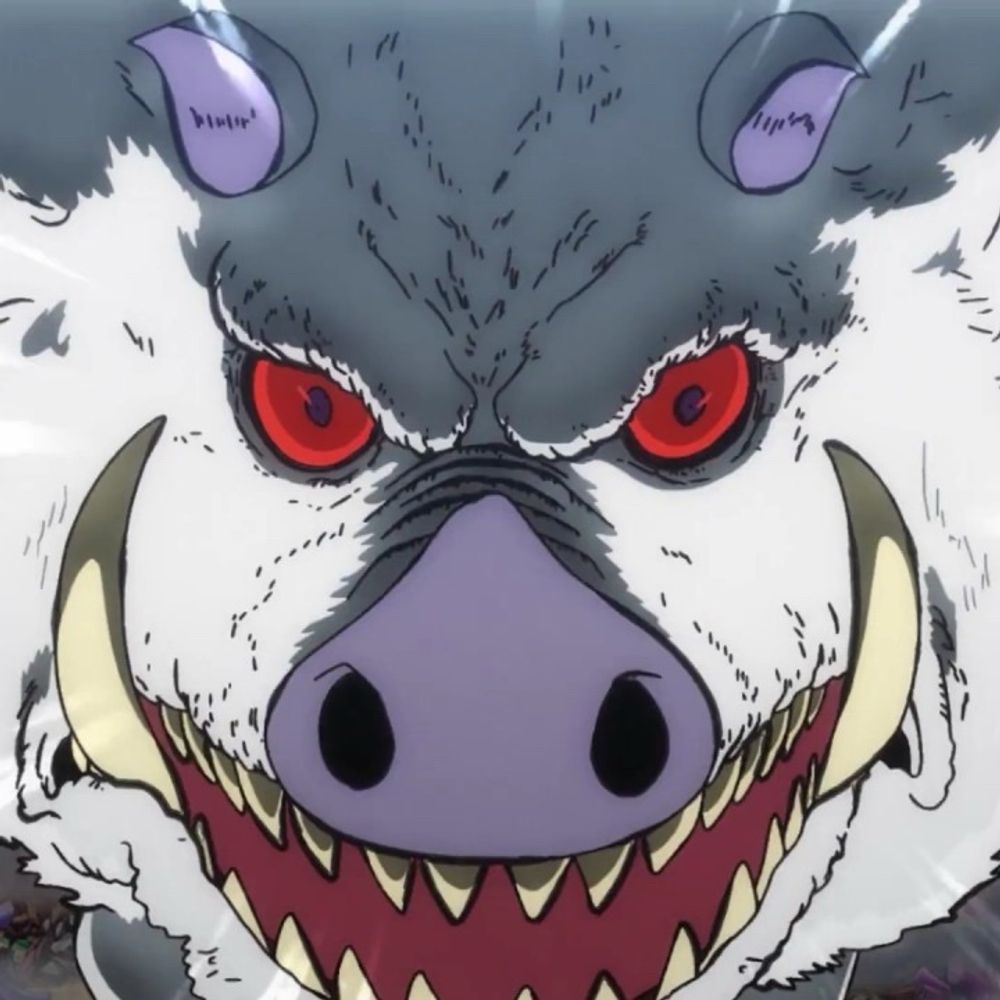30 to 50 Feral Hogs