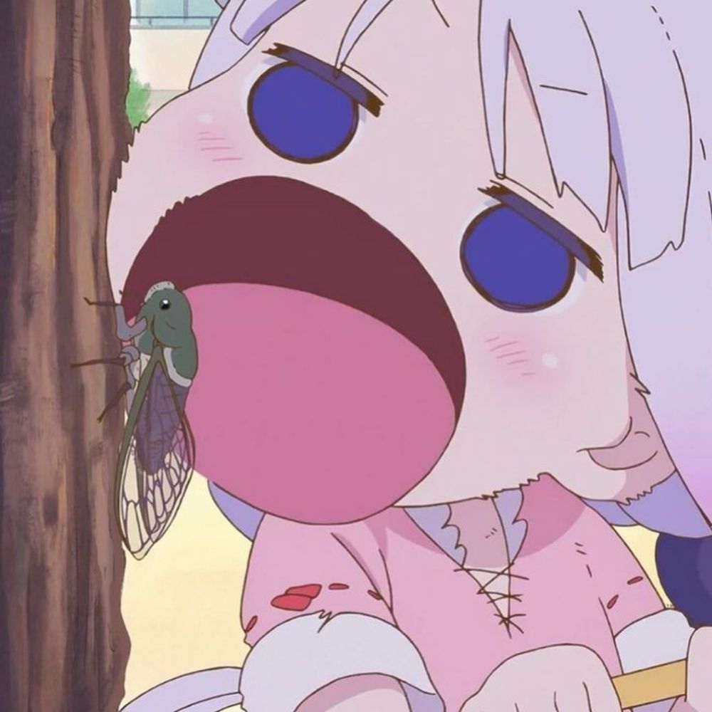 BiBii