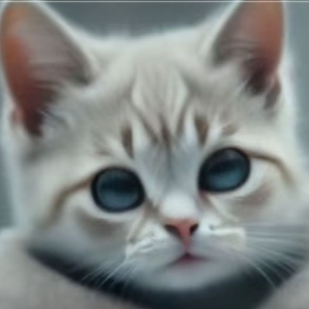 susi