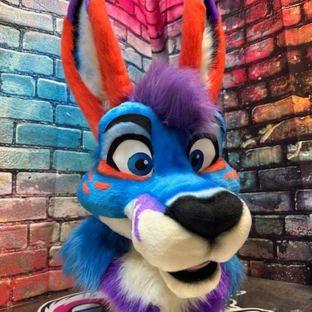 Sunset Roo 🌅